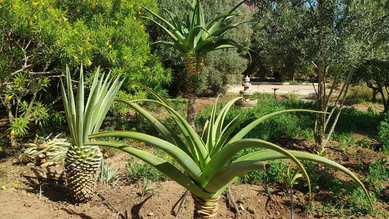 Riad-Villa Agadir-Taroudant Sidi Boumoussa Luaran gambar