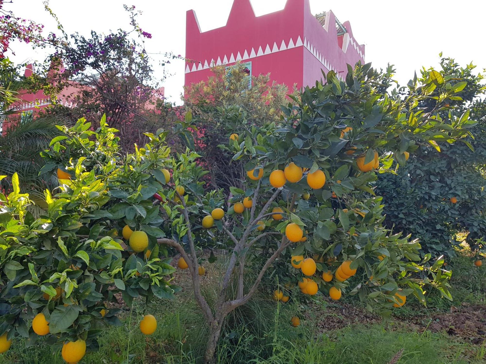 Riad-Villa Agadir-Taroudant Sidi Boumoussa Luaran gambar